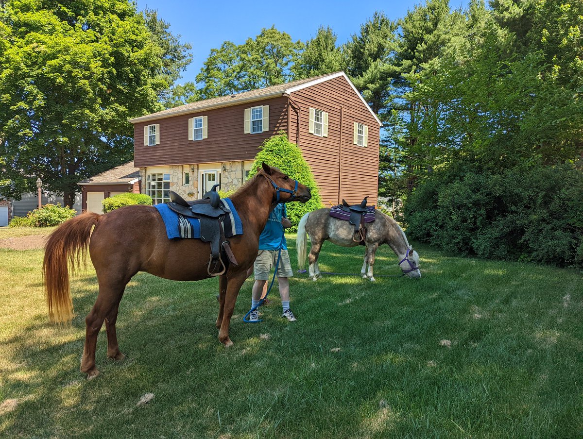 Tim (Not Really On Here Much) tweet media