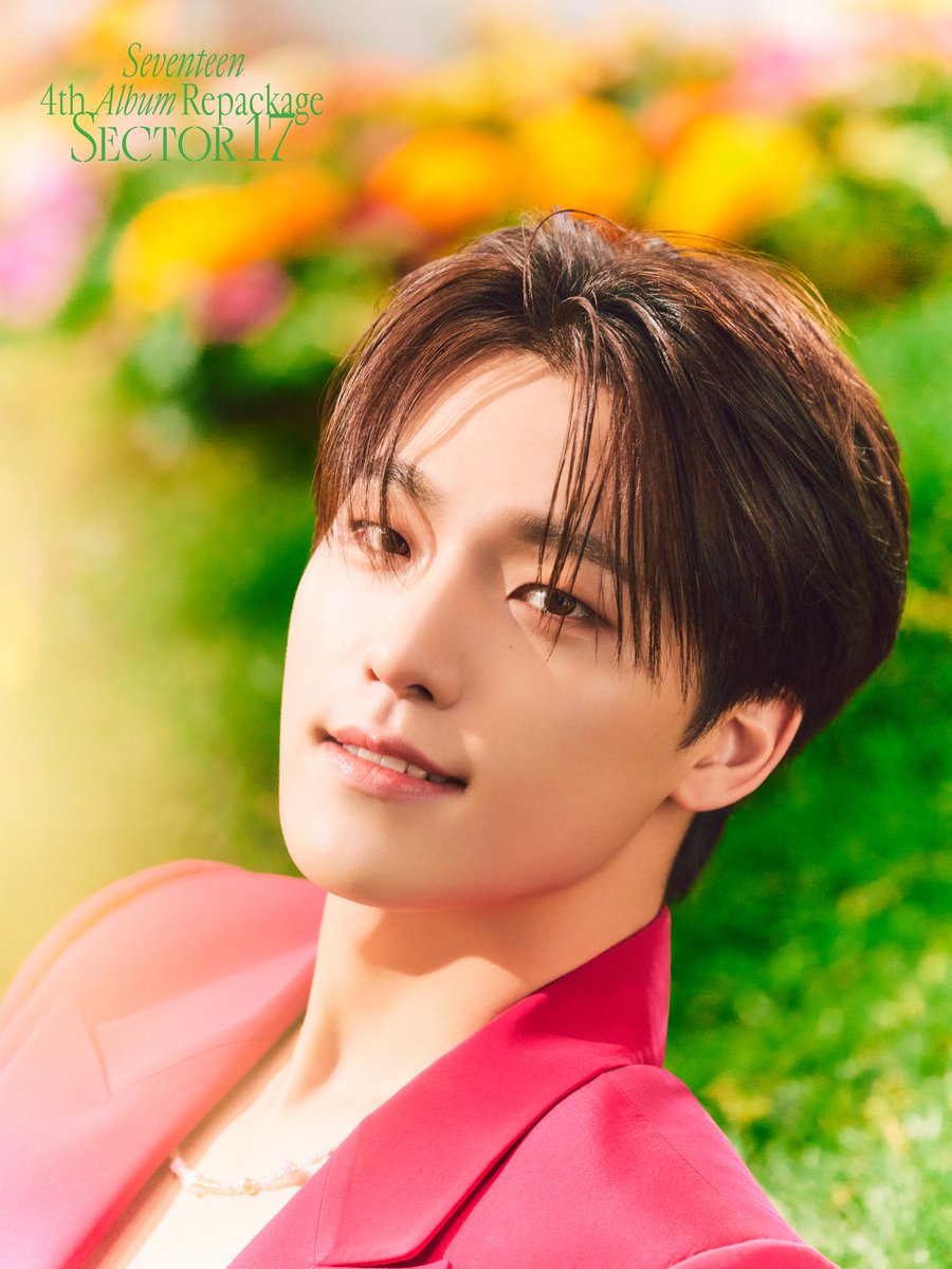 🦖 on Twitter: "Dino Sector 17 repackage pt. 2 [#디노 #이찬 #Dino #세븐틴