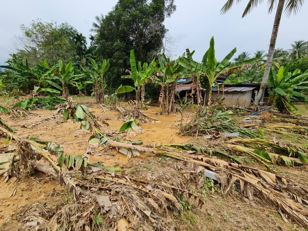 DatoHaslina's tweet image. Hari ini saya bersama-sama YB Ahli Parlimen Baling, YB Pengerusi MADA merangkap Ahli Parlimen Sik, Pengurus Besar MADA &amp;amp; pegawai-pegawai daripada pelbagai Jabatan/Agensi MAFI menyantuni seramai 120 keluarga yang terkesan dengan bencana banjir di Baling baru-baru ini.