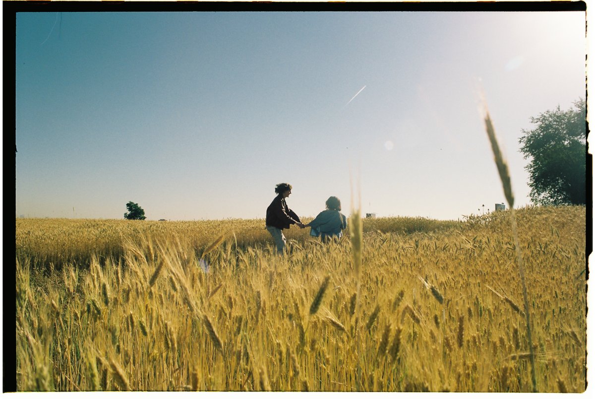 Take a nap tweet media