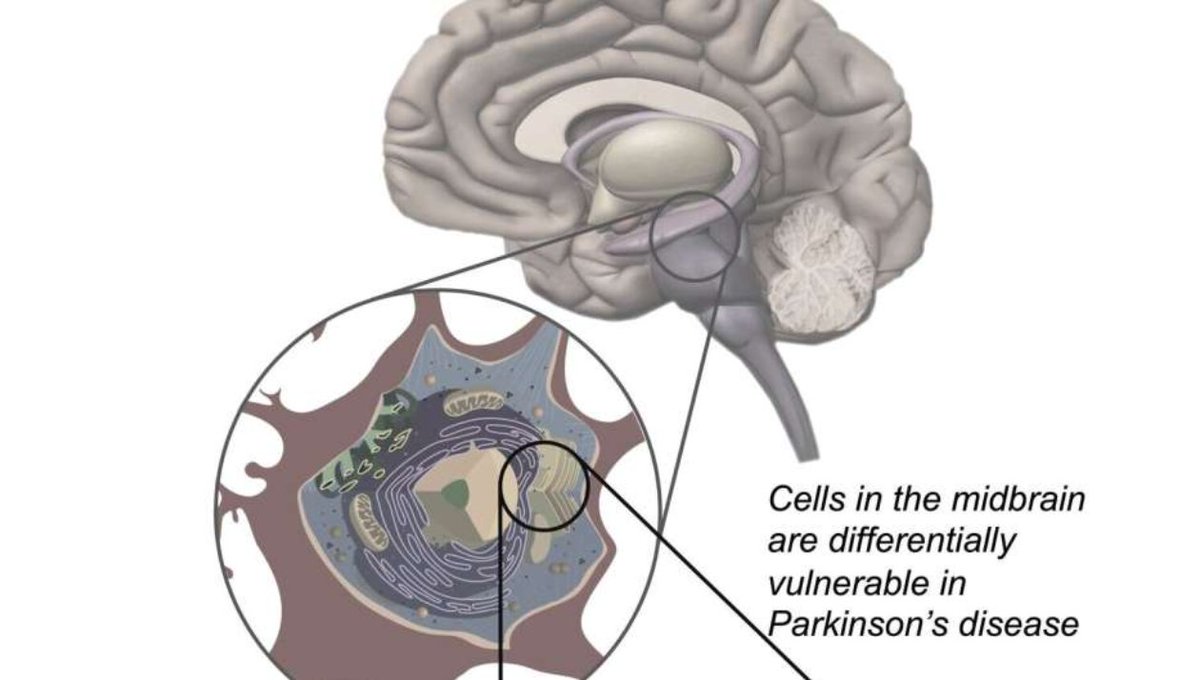 CureClick tweet media