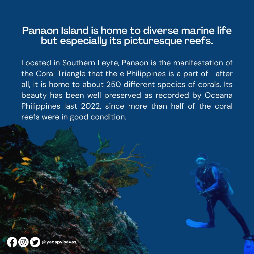 yacapvisayas's tweet photo. Summer isn't over just yet! 🏖

Panaon Island is home to diverse marine life but especially its picturesque reefs.

Located in Southern Leyte, Panaon is truly a manifestation of the Coral Triangle– after all, it is home to about 250 different species of corals. (1) https://t.co/mzMNQhVjoi