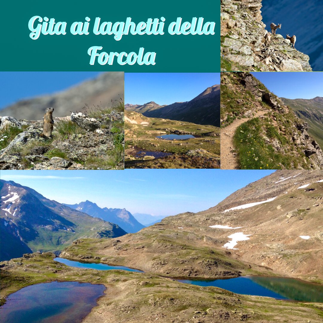 TuttoLivigno's tweet photo. Gita ai laghetti della Forcola
Trovate il collegamento alla pagina dedicata sul nostro profilo BIO 😉👋
#livigno #tuttolivigno #alivigno #laghettidellaforcola #escursione #wandern ##wandernmachtglücklich #bergliebe #bergzeit #bergluft #bergwelten
https://t.co/vjKTxXNdBr https://t.co/BoHI1xXKQb