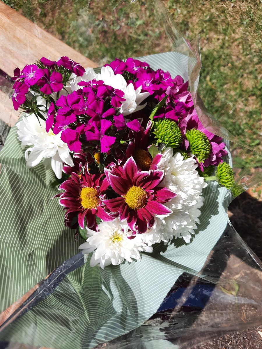 MsWhippet1's tweet photo. One year since we said goodbye to our darling daughter and sister Dawn. Gone but never forgotten 🌹❤️🌹#DawnFoster https://t.co/s4v556iNqy