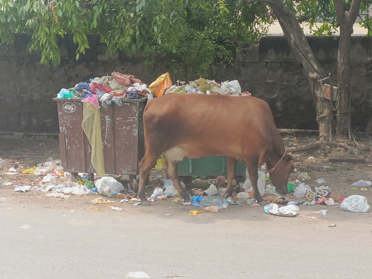 RAHUL VASHISHTA (@rahulrahulmr) on Twitter photo #MCDCares <a href="/MCD_Delhi/">Municipal Corporation of Delhi</a>
<a href="/LtGovDelhi/">LG Delhi</a> <a href="/ArvindKejriwal/">Arvind Kejriwal</a> <a href="/ipathak25/">Durgesh Pathak</a> Geeta colony 12 block chowk Sunday market delhi #MCDCares <a href="/MCD_Delhi/">Municipal Corporation of Delhi</a>
<a href="/LtGovDelhi/">LG Delhi</a> <a href="/ArvindKejriwal/">Arvind Kejriwal</a> <a href="/ipathak25/">Durgesh Pathak</a> Geeta colony 12 block chowk Sunday market delhi