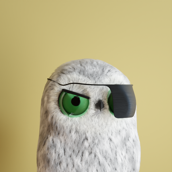 Ponderico1's tweet photo. Twit Twoo https://t.co/exsz3GGV9E