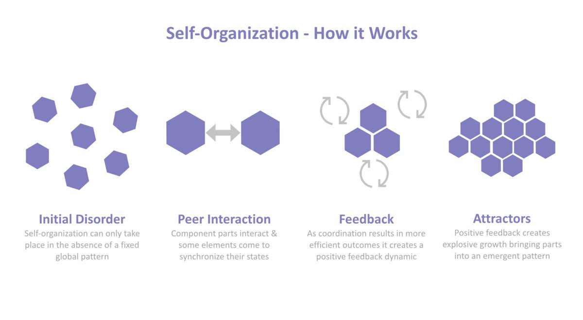 The process of #selforganization happens when an initial state of #disorder among elements is present. Some elements can come to synchronize their states, leading to a dynamic of positive feedback and, eventually, become an emergent pattern, also called #attractor. #Bengaluru