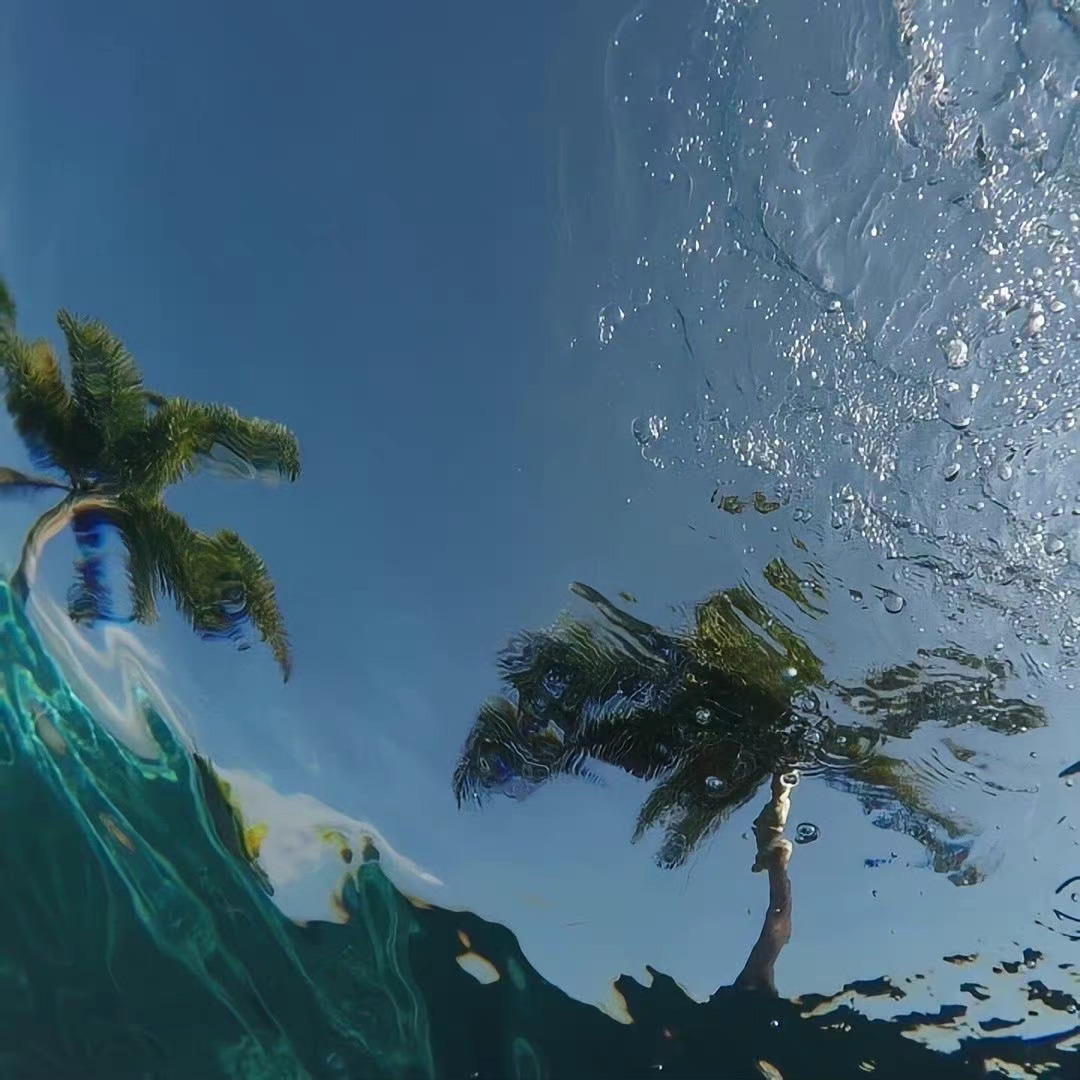 DeandreWallc's tweet photo. Coconut trees, water in the sea. Ask for attention, you will return to the pass.
#互关 #互粉 https://t.co/IYG4JwRp2A
