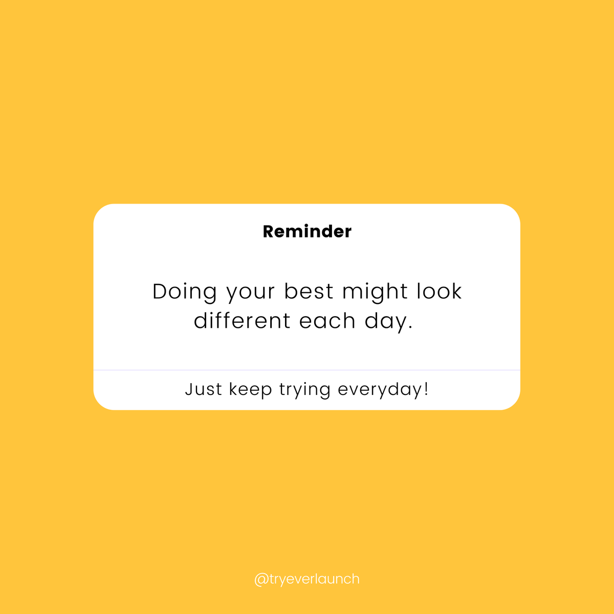 everlaunch tweet media