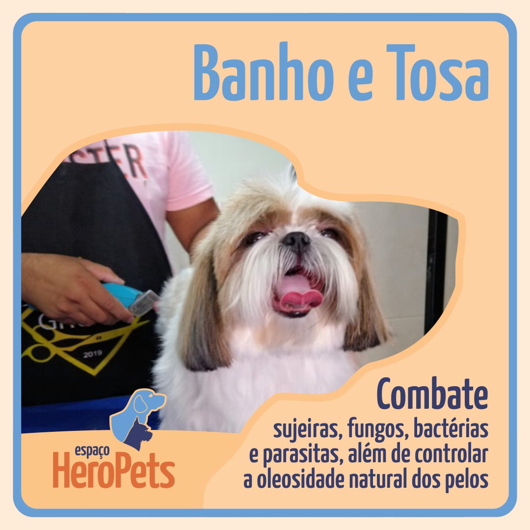EspacoHeroPets's tweet image. Nosso banho com produtos da marca preferida, Hydra Pet Society!
Tendência é se destacar todos os dias. 💜 Quem usa, brilha! Diferencie-se.

📲 Entre em contato pelo nosso whatsapp 61-985079522 e agende uma visita!
