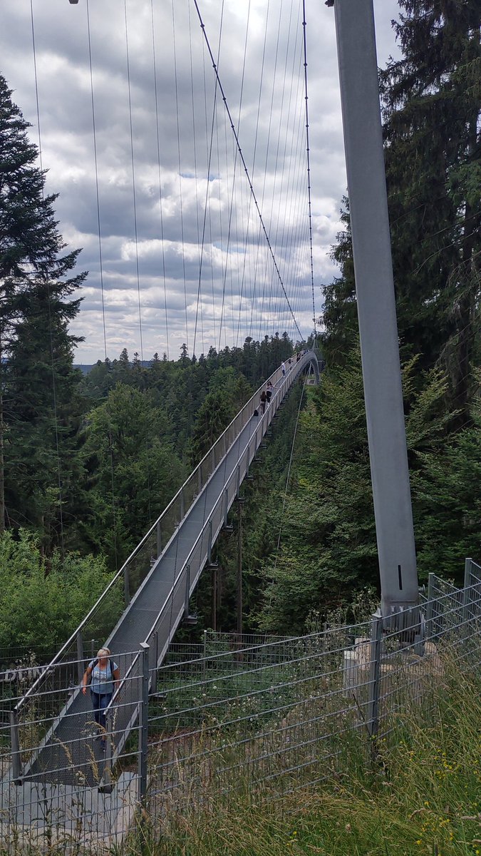 Foxaki03's tweet photo. So, was Rin in #laidbackcamp / #Yurucamp kann, schaffe ich hoffentlich auch. Wenn keine Twitts mehr von mir kommen, hänge ich bibbernd in der Mitte fest. Auf ins Abenteuer.
#wildline #schwarzwald https://t.co/4JZTs3dRGi
