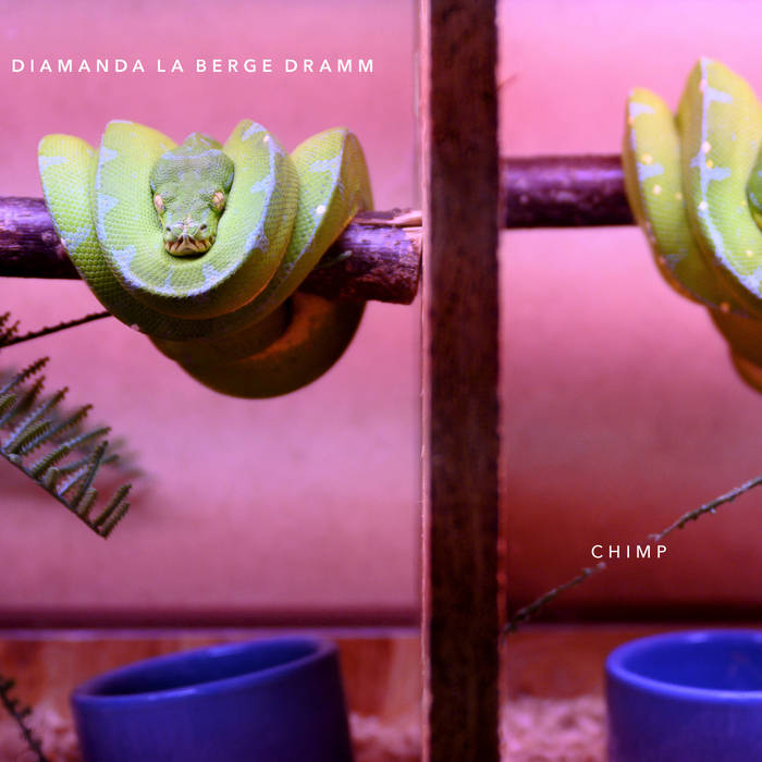 The Quietus (@thequietus) on Twitter photo 'Dutch violinist Diamanda La Berge Dramm's latest release, Chimp, is so surprisingly fresh, it feels like a relief to know it is out there.'
Chimp By Diamanda La Berge Dramm is tQ's Album of the Week
tquiet.us/DLBDChimp
<a href="/DiatribeRecords/">Diatribe Records</a> 'Dutch violinist Diamanda La Berge Dramm's latest release, Chimp, is so surprisingly fresh, it feels like a relief to know it is out there.'
Chimp By Diamanda La Berge Dramm is tQ's Album of the Week
tquiet.us/DLBDChimp
<a href="/DiatribeRecords/">Diatribe Records</a>