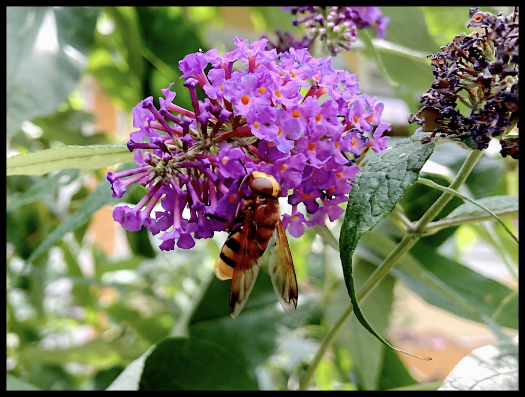 Heute ist unser „Tag der offenen #Imkerei“ Es kommt auch die Verwandtschaft vorbei. 😀