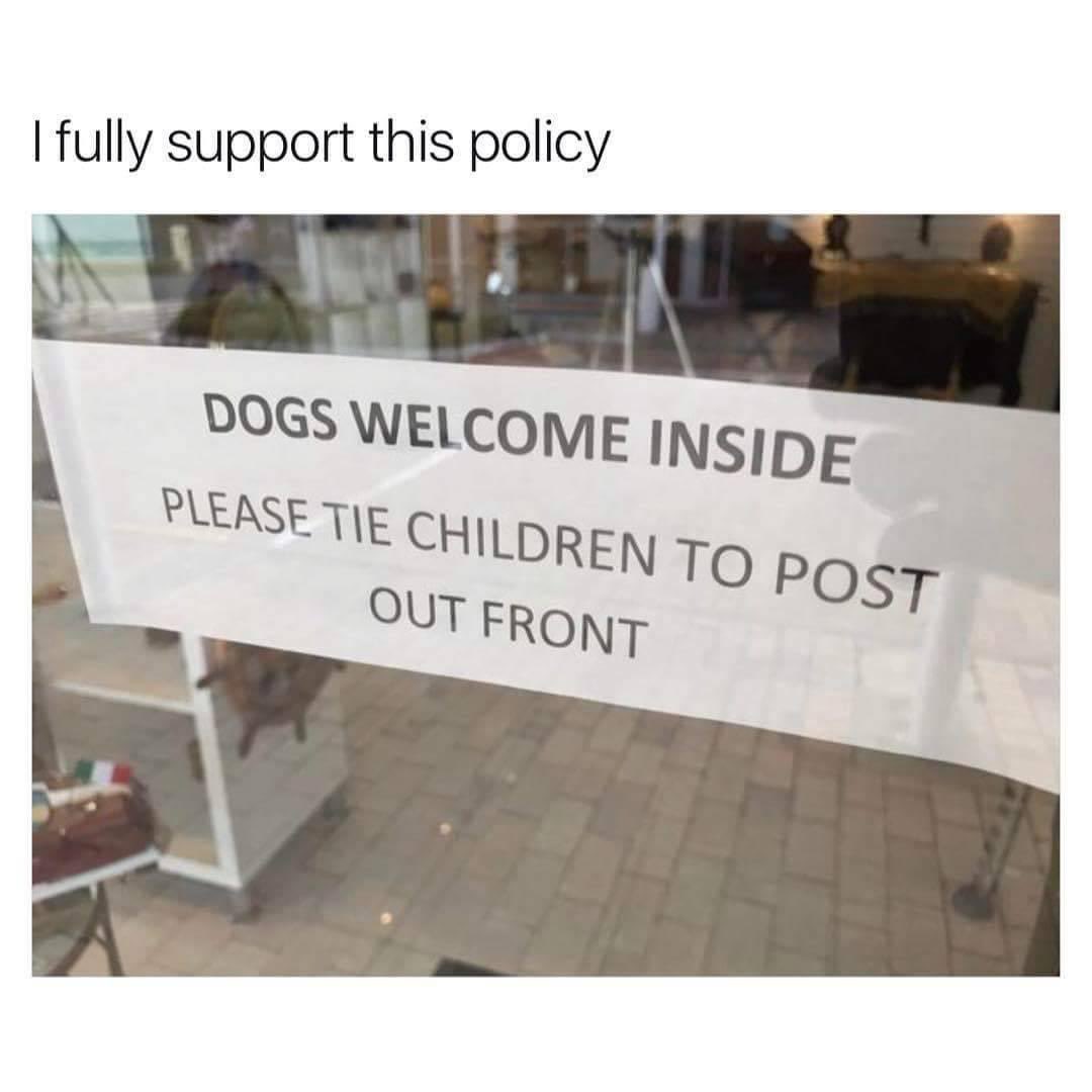 Sarah Morris tweet media