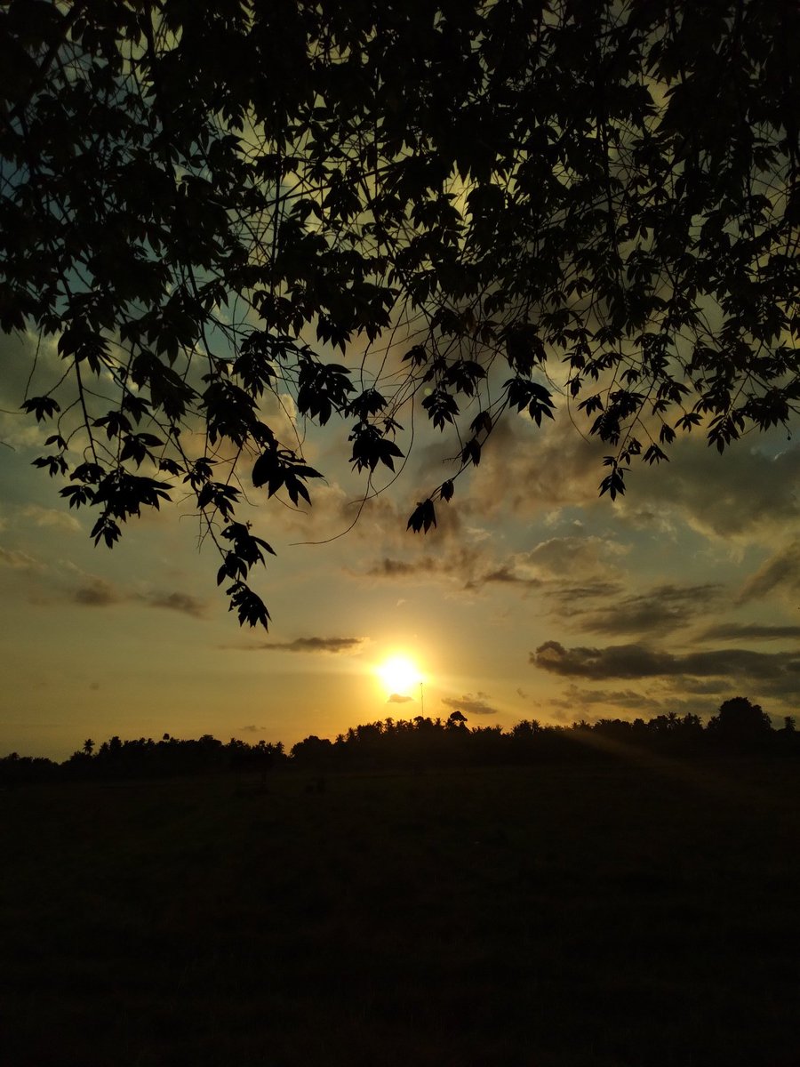 risadindaa's tweet photo. seperti senja yang hanya sesaat, tapi memerlukan waktu lama untuk bertemu dengannya. https://t.co/qhuH5kXvFs