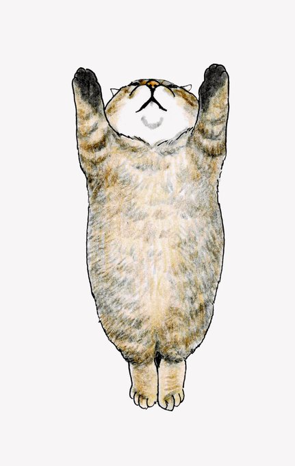 もういっこの「じゃんぷ」のかきおろしの絵ですよ。
俺がかかんにジャンプしてセミをとりにいくところを、ちゃーとオサムが見てるんだよ。 