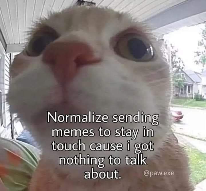 nocontextscats's tweet image. 