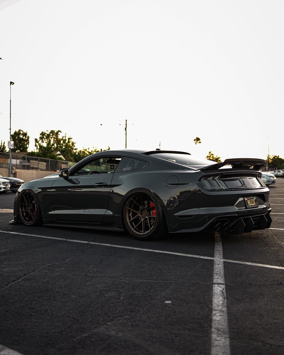 carpxrnpicx's tweet photo. Mustang https://t.co/GzRB8cWIu6