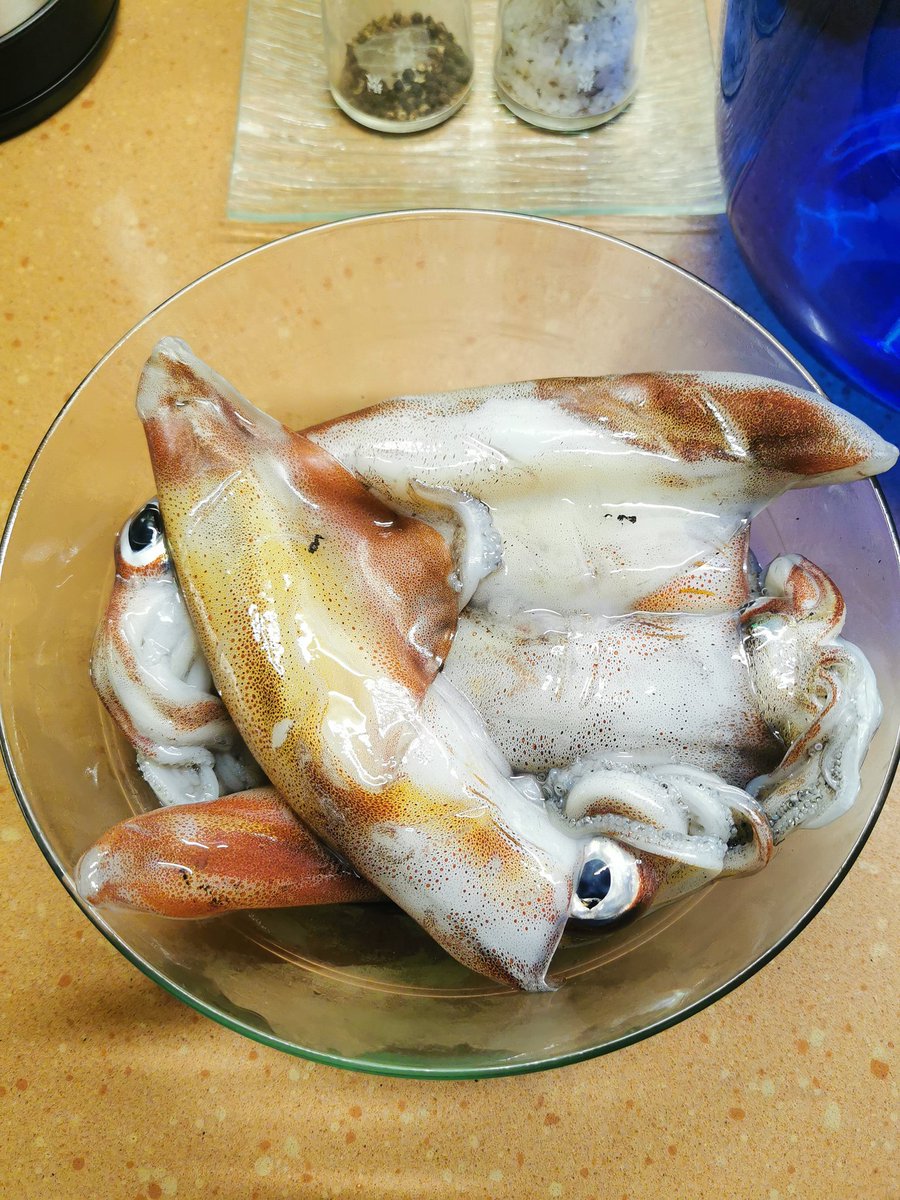 DolcettSecret's tweet photo. Recién pescados 😍 se puede tener más suerte? 🤤 #txipirones #begihaundi #cocinar https://t.co/y1TrkagbFt