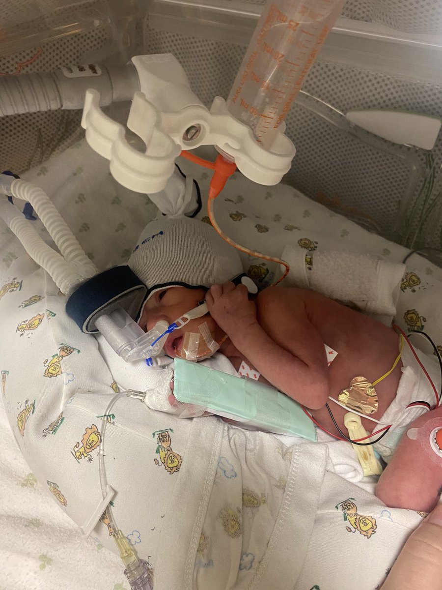 SheepDog59's tweet image. We get to go home today! Momma is doing good, still sore and recovering. Baby is doing really well! Every time I deliver milk I’m always greeted with good news. Can’t wait to sleep in my own bed. Everyone meet Mr Jamison.