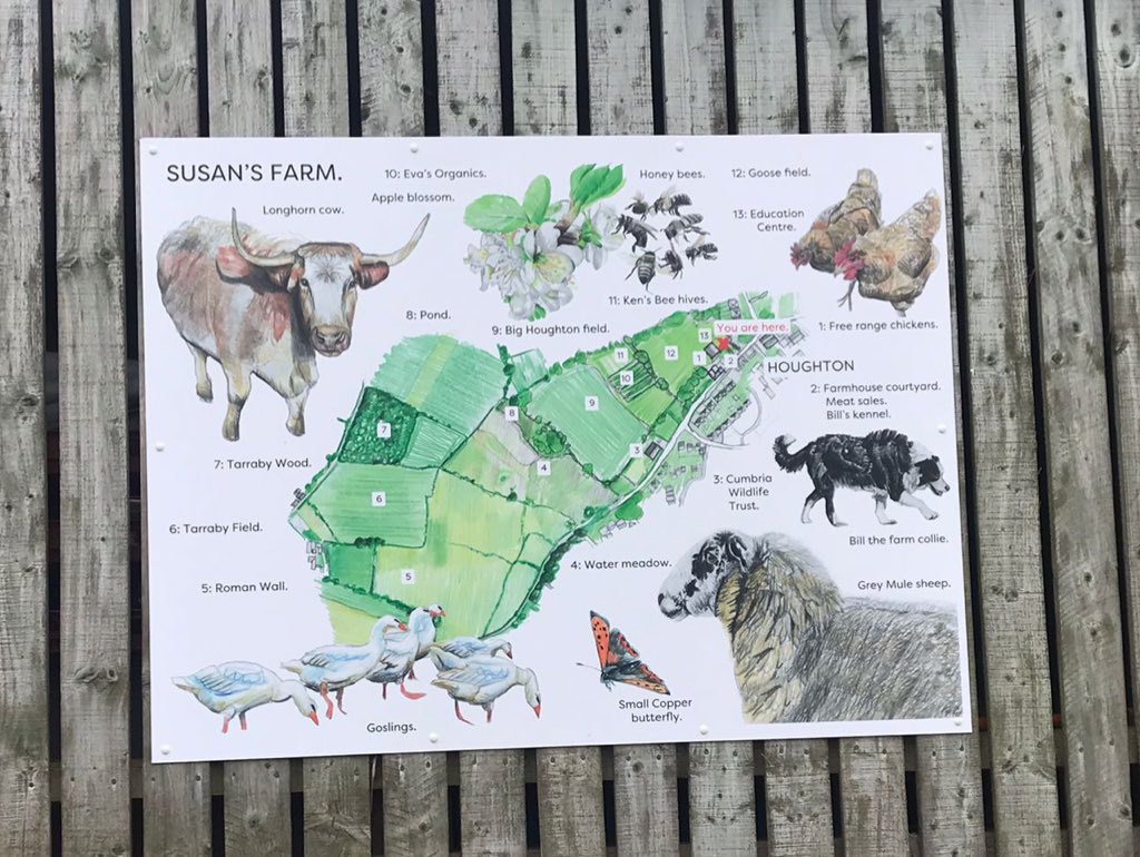 Susan's Farm tweet media