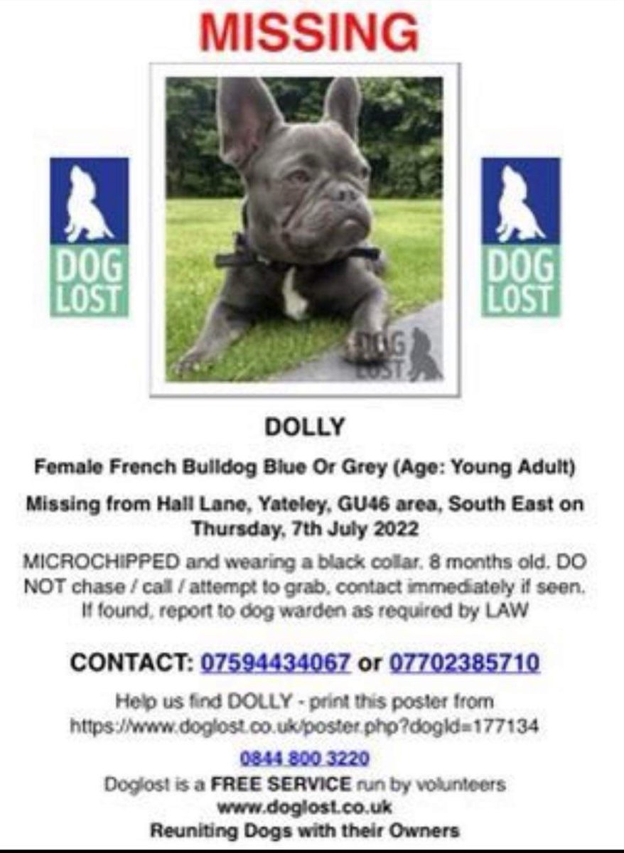 #Doglost Dolly has gone missing, please share to help get her home #Lostdog #MissingDog #DogsOfTwitter #DogLivesMatter #GetDollyHome #Hampshire #Yateley #Retweetplease #Retweet