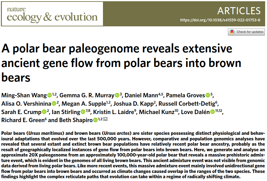 kalle_leppala's tweet photo. So, less than two weeks after we published our ancient polar bear paper with @clindqvist1 @ThomasMailund and many others, another paper came out declaring results quite different from ours. Not trying to debate but maybe this kind of contradiction warrants an acknowledgement. https://t.co/kl4zEGvHjC