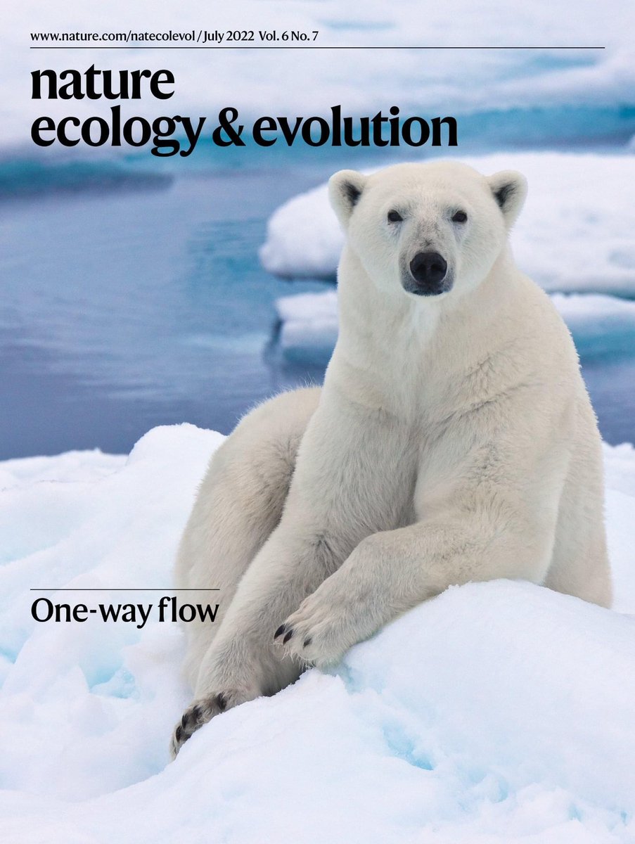 kalle_leppala's tweet photo. So, less than two weeks after we published our ancient polar bear paper with @clindqvist1 @ThomasMailund and many others, another paper came out declaring results quite different from ours. Not trying to debate but maybe this kind of contradiction warrants an acknowledgement. https://t.co/kl4zEGvHjC