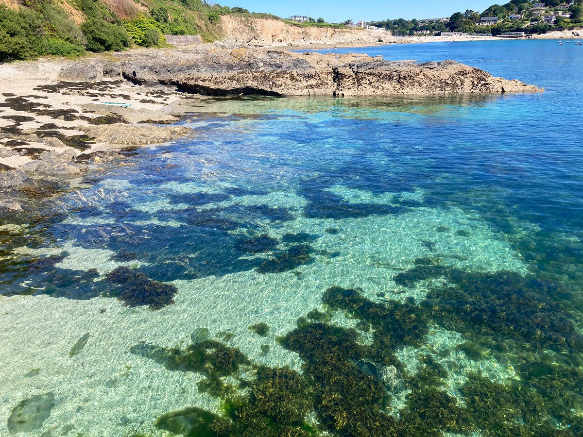 TAGcomms's tweet photo. When I’m not in the office, you’ll find me by the sea. Today’s 🏊♂️ Looking back at #swanpool #lovewhereyoulive #LoveWhereYouWork @FalmouthTownUK https://t.co/QZs0NZdgqr