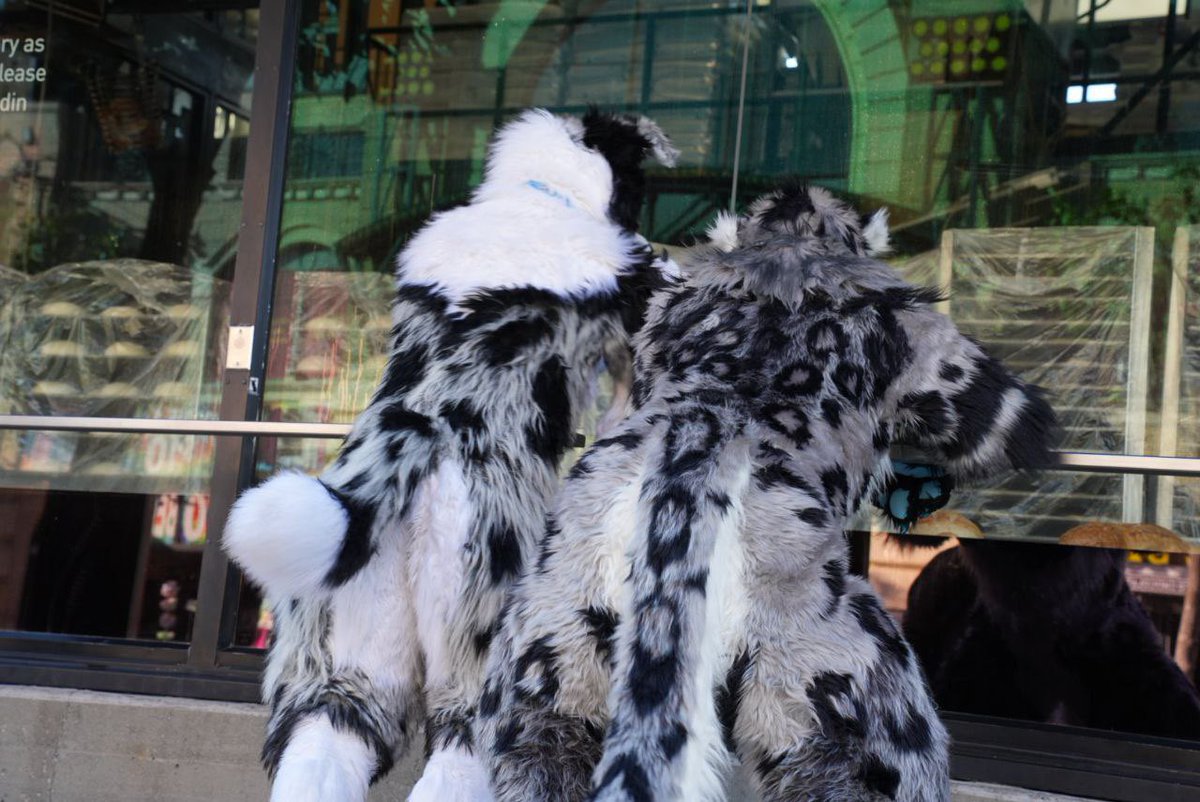 huxusnep's tweet photo. Butts🍑 @TripECollie and me https://t.co/lbO6vLU01k