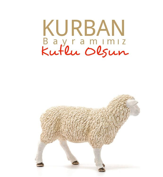 <a href="/SeferYoresel/">Seferoğlu Hatay Yöresel</a>  &amp; <a href="/Hatayseferoglu/">Seferoğlu_yöresel</a> 
Hayırlı bayramlar diler.