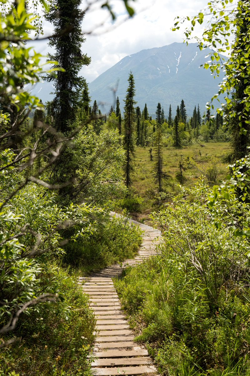 Franklin Graham tweet media