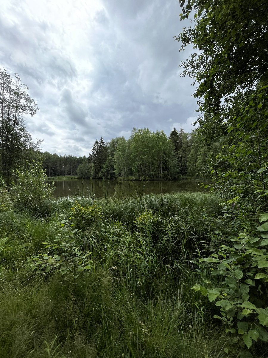 JukkaPartanen3's tweet photo. Weekend grinding 12km/7,5miles +21°C/70°F #running #training #streetrunning #photography #naturephotography #streetphotography #urban #ThePhotoHour #channel169 #landscapephotography #ランニング #nature https://t.co/DGQlIsdfOb