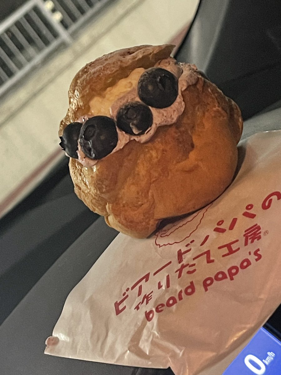 ✨土浦駅限定✨

美味しゅうございました♪

#ブルーベリー