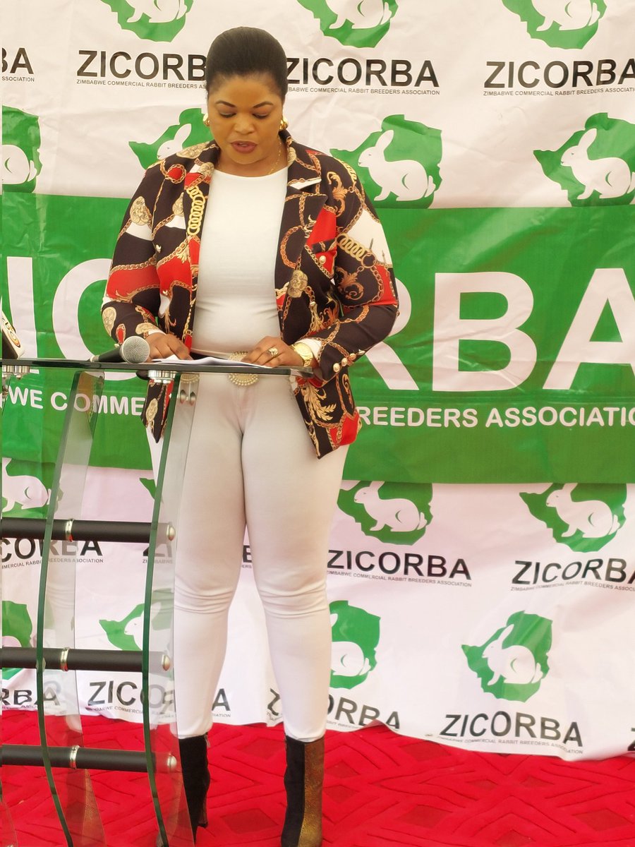 RabbitZimbabwe's tweet photo. ZICORBA corporate member, Raymeg Consultants Private Limited CEO Mrs Paidamoyo Nyamakanga speaks on the success of their pure breed distribution. She also gave an insight into the growth of the rabbit market in Zim and abroad with the rabbit abattoir being key infrastructure. https://t.co/1XsOSD8WNC