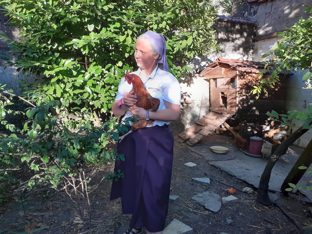 SrCathyRA's tweet image. Staying with my sisters in Lyon - and very jealous that they have chickens! Wondering how to convince my community that we should have some in Twickenham... #ConventLife 🐓