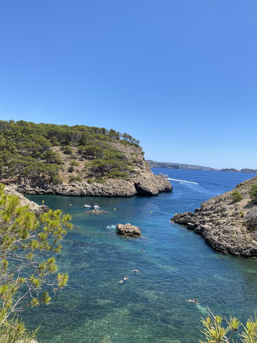 MarbellaTrader tweet media