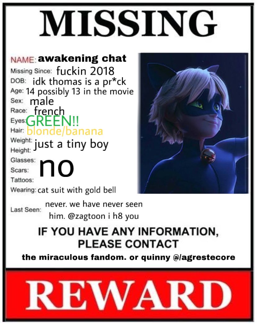 please has anyone seen my cat