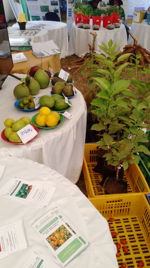 HcoeIsrael's tweet photo. Find us in @RwandaAgriBoard tent where we're showcasing how vegetables &amp; fruits yields can be increased quality and quantity wise. https://t.co/1QqAizGoGc