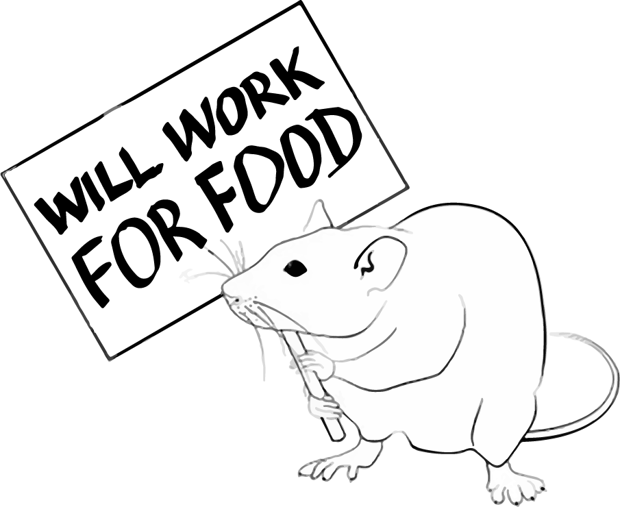 Sami El-Boustani (@elboustanilab) on Twitter photo Curb your enthusiasm! How mice deal with motivation control during decision-making tasks? Come check out Giulio Matteucci’s poster <a href="/giulio_matt/">Giulio Matteucci</a> at #FENS2022 !
He’ll be presenting on Monday afternoon at board S04-524.#somatosensory #motivation #decisionmaking #sensorimotor Curb your enthusiasm! How mice deal with motivation control during decision-making tasks? Come check out Giulio Matteucci’s poster <a href="/giulio_matt/">Giulio Matteucci</a> at #FENS2022 !
He’ll be presenting on Monday afternoon at board S04-524.#somatosensory #motivation #decisionmaking #sensorimotor