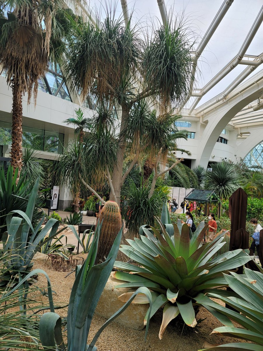 더위가 사람을 지치게하네요.하지만 내애기만 있다면 더위는 문저가 되지않지요.내몸과 마음을 편하고 시원하게 만들어 주는데 빨리 그러게되고싶네요.
진실로고통과수치 구솤과환희를 느끼고싶은마조펨섭 40~50대 찿고있네요. 네토 커플섭환영해요.^^
라인 hye8960