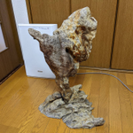 6年も遅れて…!匿名ラジオから最優秀賞の商品が届いた!