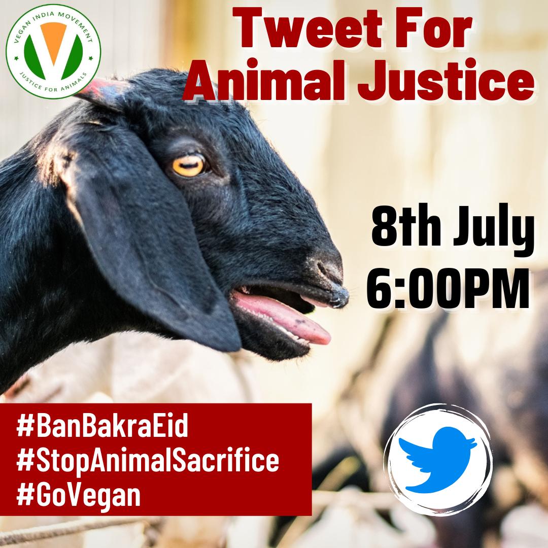 ShamsTabrezQ's tweet photo. इस्लाम से नफरत की बुनियाद पर जानवरों के लिए इंसाफ की मुहिम चलाने वालों तुम हकीकत में उन पर अत्याचार करना चाहते हो।जानवरों के साथ इंसाफ यही है कि उस को कोई खरीदे,उस का गोश्त खाए। वरना धीरे-धीरे जानवर ही खत्म हो जाएंगे क्योंकि बगैर माली फायदा के जानवर को आपने यहां कोई क्यूं रखेगा https://t.co/rSZ0Z80ASy