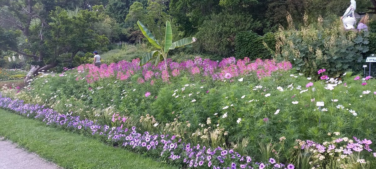 Markus Schmölz (@markus_schmoelz) on Twitter photo 