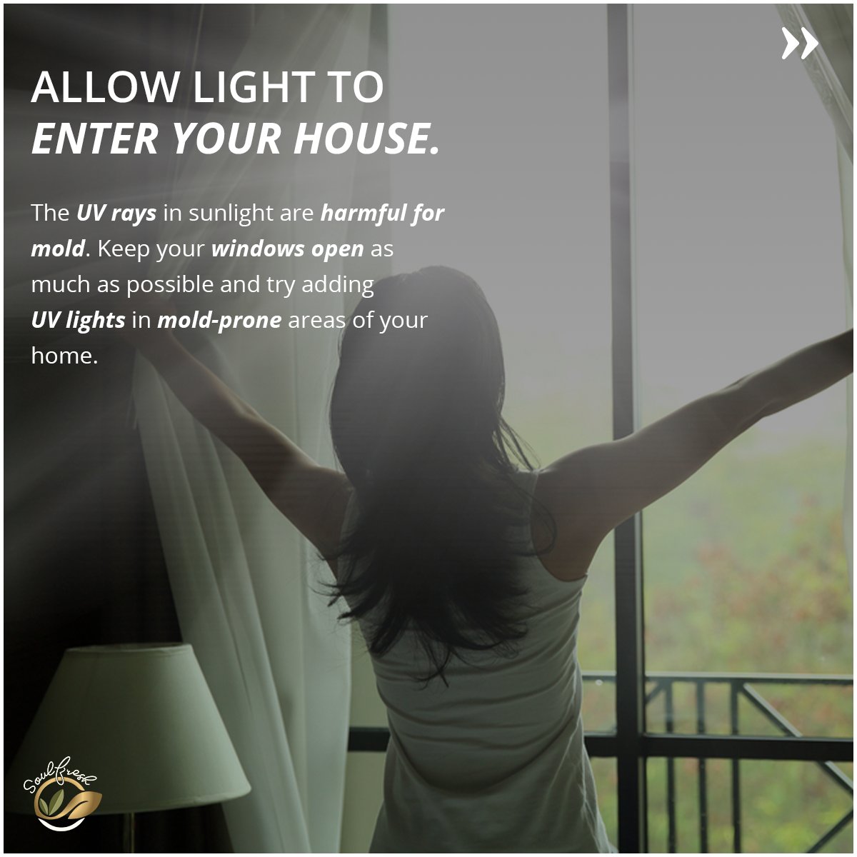 soulfresh_in's tweet photo. Just like you protect yourself from the rain, you need to protect your home as well.
Mould is the number one enemy of a healthy home environment. It thrives in damp corners of your home. 
#soulfresh #monsoon #monsooncare #clean #hygiene #hygienetips https://t.co/UGWik1iwMA