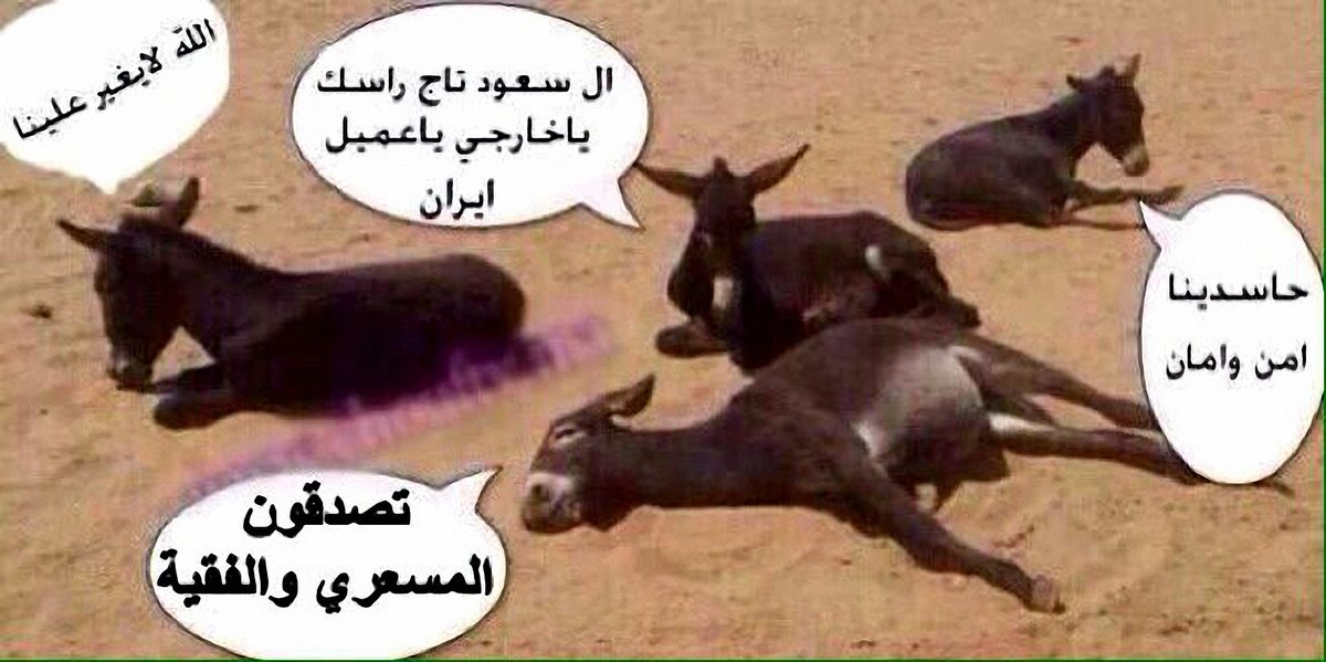 almass3ari's tweet photo. ﮼الغريب  @ez_syed 

  وجزاك الله خيرا ... أحسنت، ولا فُضَّ فوك ... ورحم الله أبويك
🌹😍😍❤️😍😍🌹 https://t.co/ap2eiB6TDo