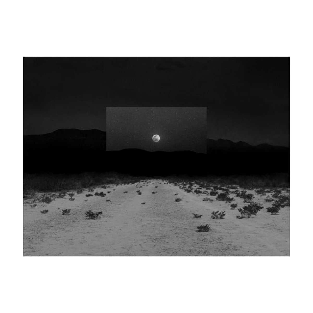 PhotoMuseumIRL's tweet photo. One of our #curatorpicks from renowned photography festival @rencontresarles 🎉

Julien Lombardi
After the ceremony, The land where the sun was born series, Mexico, 2017-2021.

@julien_lombardi #supportingrtists #PHOMI #rencontresarles #arles #photography @kiangtanya @trishlambe https://t.co/0bdkA5CUAl