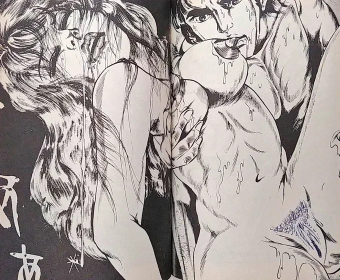 かつて、清水おさむとかの単行本の白消し部分にちんこやまんこが描き込まれた所謂「落書き本」に出会ったことがあるが、ああいう誰かの"リビドーの迸り"を目の当たりにすると謎の感動があって非常に良いですね。
落書き本には正規の古書評価にない価値がある。 