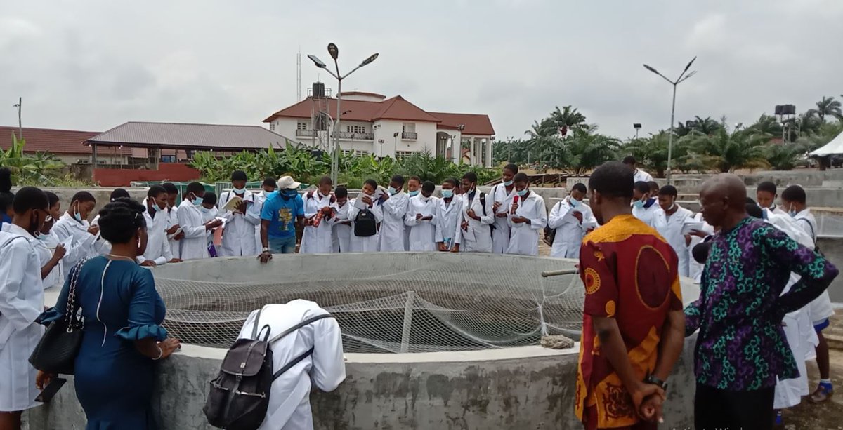 AgbaniFarms's tweet photo. School excursion time with Awkunanaw Girls Secondary School.  #enugu https://t.co/XKgBGk1bDi