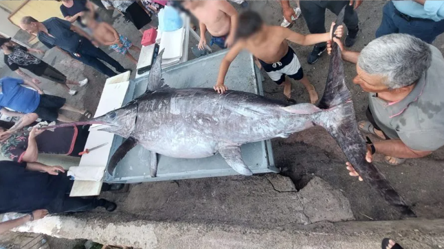 Lapescainmare's tweet photo. Pesci da record, la rubrica dei record di pesca in mare https://t.co/KdeVzfAN44 https://t.co/MUNoRE7Jwu